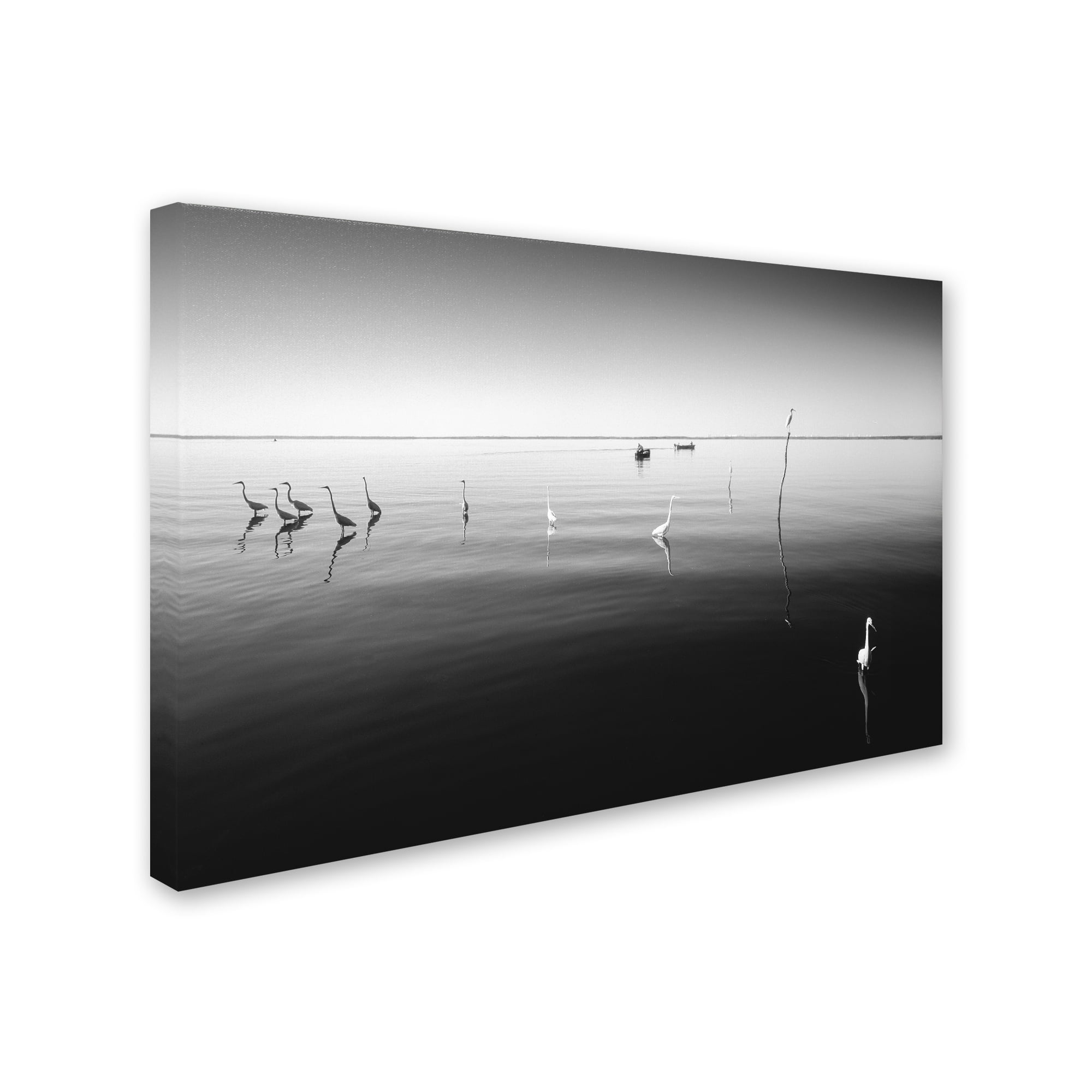 Trademark Fine Art "11 Herons" Canvas Art by Moises Levy