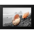 thumbnail image 2 of Blaustein, Alan 14x11 Black Modern Framed Museum Art Print Titled - Crescent Beach Shells #20, 2 of 5