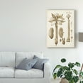 thumbnail image 3 of Trademark Fine Art 'Ochre Botanical I' Canvas Art by Vision Studio, 3 of 4