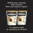 thumbnail image 4 of Olympic Krema Honey Yogurt 9%, 4 of 7