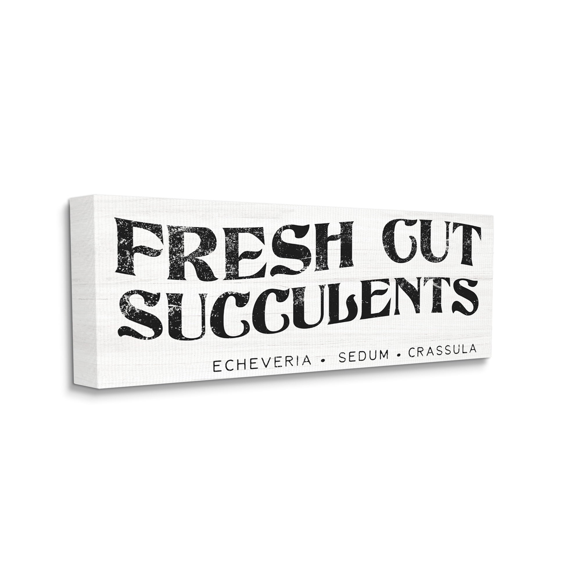 Stupell Industries Fresh Cut Succulents Antique Style Grainy Sign Graphic Art Gallery Wrapped Canvas Print Wall Art, Design by Daphne Polselli