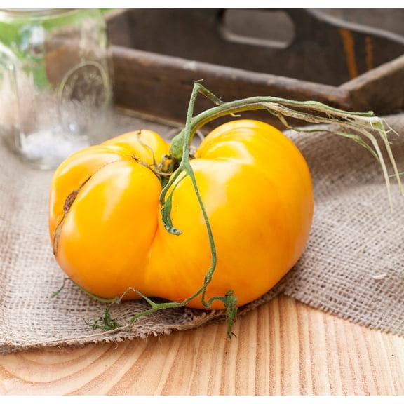King of Siberia Heirloom Tomato Premium Seeds Packet