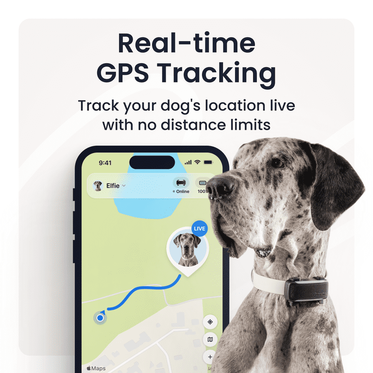 Tractive Collar Attachment Smart Dog GPS Tracker with Virtual