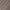 Khaki, variant on ZyeKqe Baby Toddler Girl's Tights Ribbed Knit Leggings Little Girls Seamless Stockings Bows Cotton Pantyhose