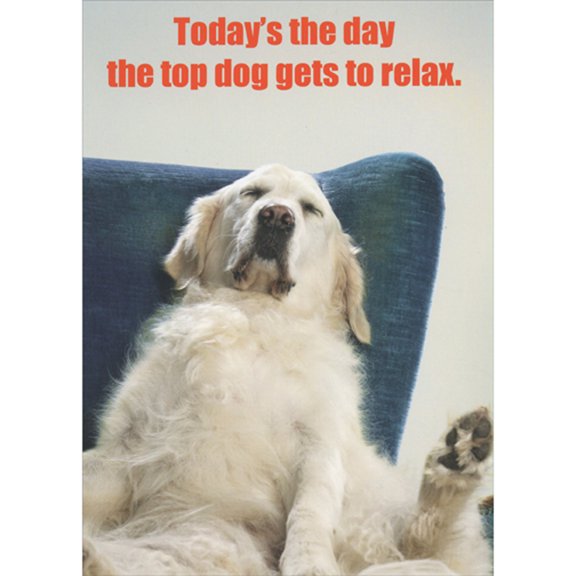 RSVP The Top Dog Gets to Relax: Sleeping White Dog in Blue Chair Funny / Humorous Father's Day Card