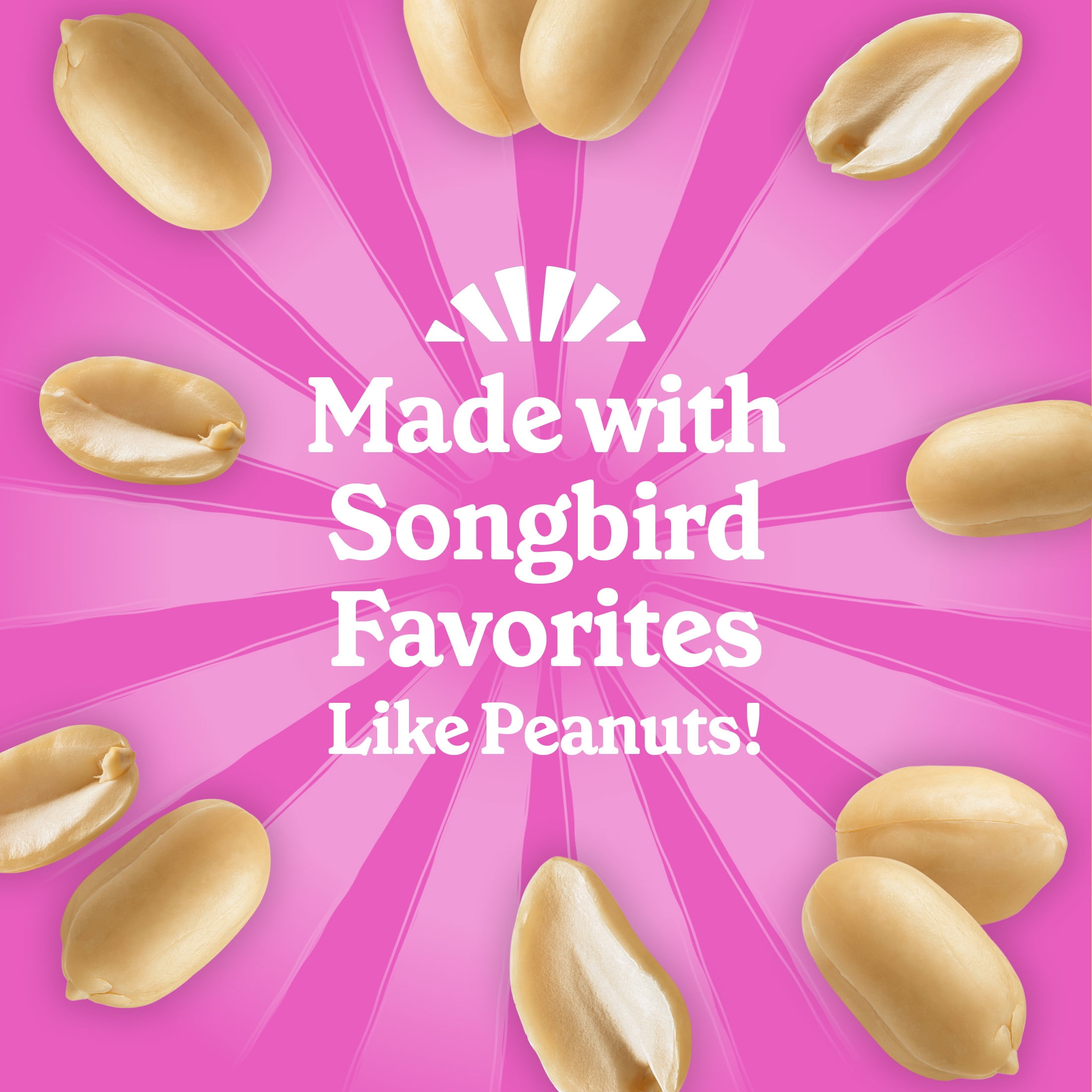 Pennington Feeding Frenzy No- Melt Suet Dough Woodpecker & Songbird Wild Bird Food, 10 oz- 8 Pack, Fresh