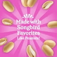 thumbnail image 5 of Pennington Feeding Frenzy No- Melt Suet Dough Woodpecker & Songbird Wild Bird Food, 10 oz- 8 Pack, Fresh, 5 of 13