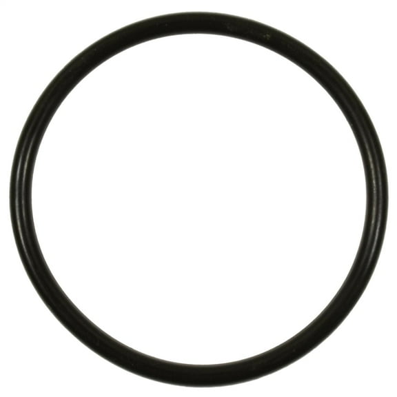 Standard Ignition Fuel Pump O-Ring