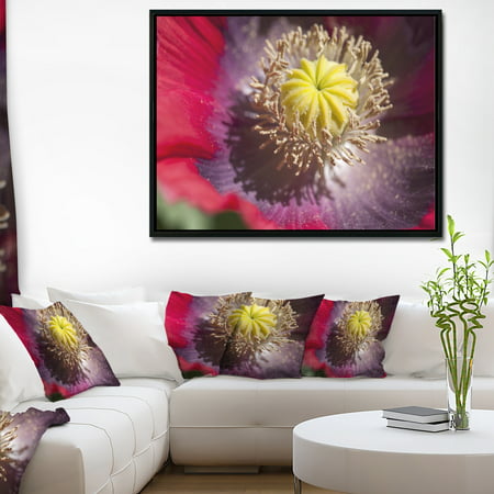 DESIGN ART Designart 'Colorful Opium Poppy Flower Photo' Flowers Framed Canvas Wall