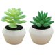 thumbnail image 1 of Planta de simulación suculenta en maceta, pequeños adornos creativos para interiores, plantas verdes artificiales, 2 uds., 1 of 5