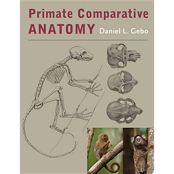 Primate Comparative Anatomy, (Hardcover)