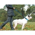 thumbnail image 2 of LAICAIW Rope Dog Leash 6 FT with Comfortable Padded Handle, Highly Reflective Threads Dog Leash for Large Dogs, 1/2 inch, Blue, 2 of 7