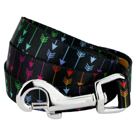 Country Brook Petz - 1/2 inch Colorful Arrows Dog Leash - 4 Foot