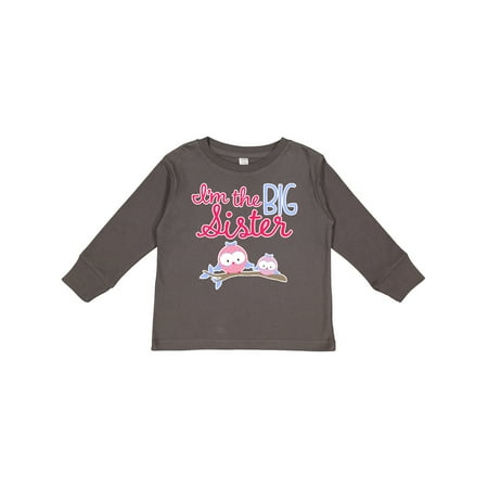 

Inktastic Big Sister Owls Gift Toddler Toddler Girl Long Sleeve T-Shirt