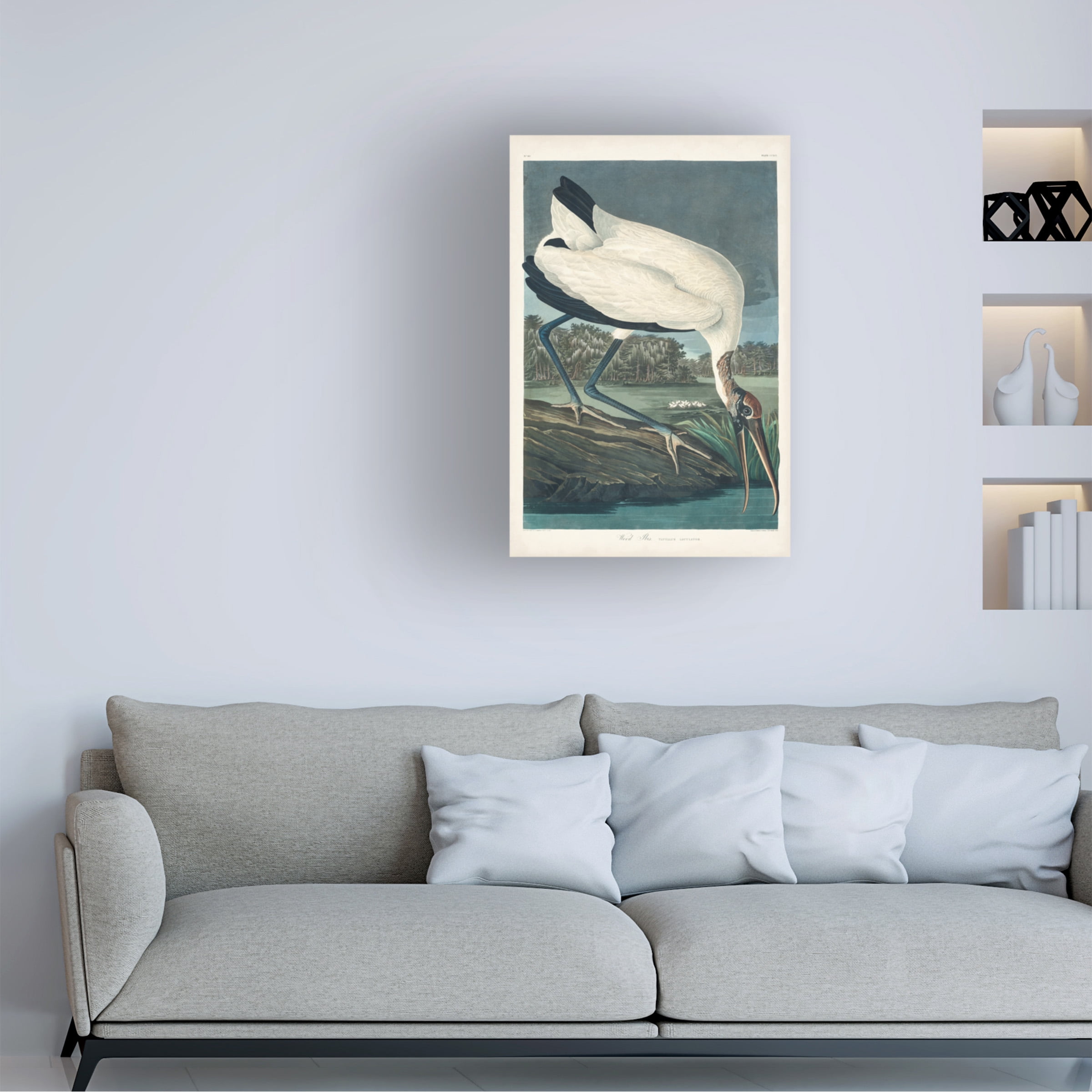 John James Audubon 'Wood Ibis' Canvas Art