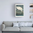 thumbnail image 3 of John James Audubon 'Wood Ibis' Canvas Art, 3 of 3
