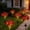 227#Red, variant on Solar Carnation Flower Ground Stake Light, Auto Dusk Dawn Self Charging Outdoor Decor Lamp, All Weather Waterproof Long Runtime Floral Landscape Lighting for Garden Walkway Patio Yard
