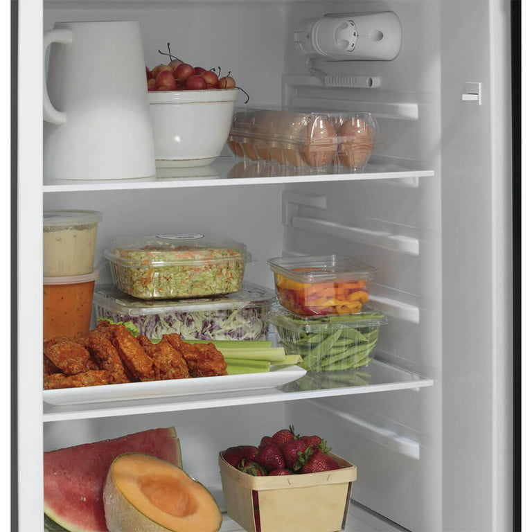 GPV10FSNSB by GE Appliances - GE® 9.8 Cu. Ft. 12 Volt DC Power Top-Freezer  Refrigerator