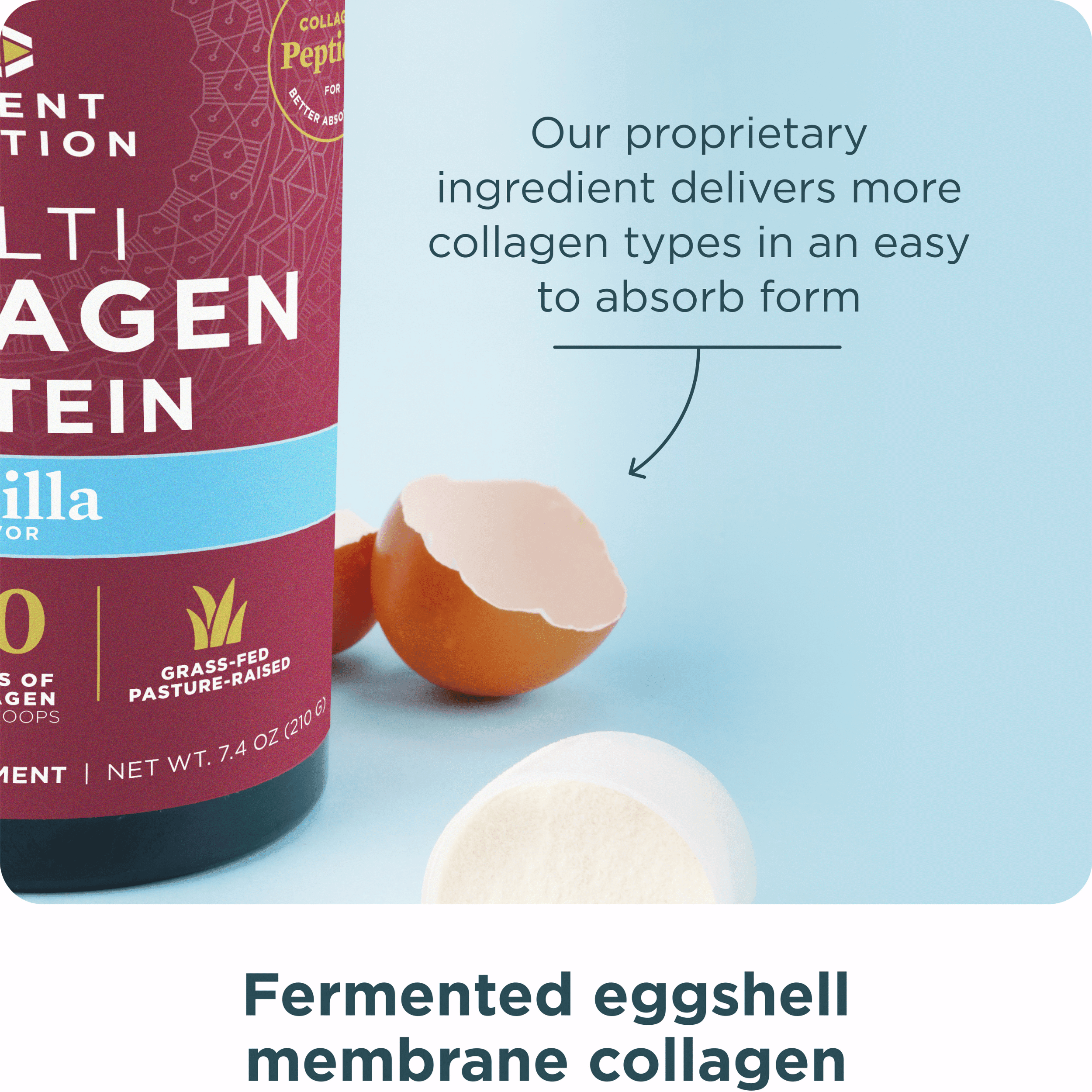 Ancient Nutrition Hydrolyzed Collagen Peptides Powder, Vanilla Multi Collagen Powder for Women and Men, 20 Servings, Supports Skin and Nails, Gut Health
