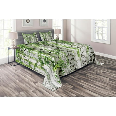 Woodland Coverlet Set Birch Trees In The Forest Summertime Wildlife Nature Outdoors Themed Picture Decorative Quilted Bedspread Set With Pillow