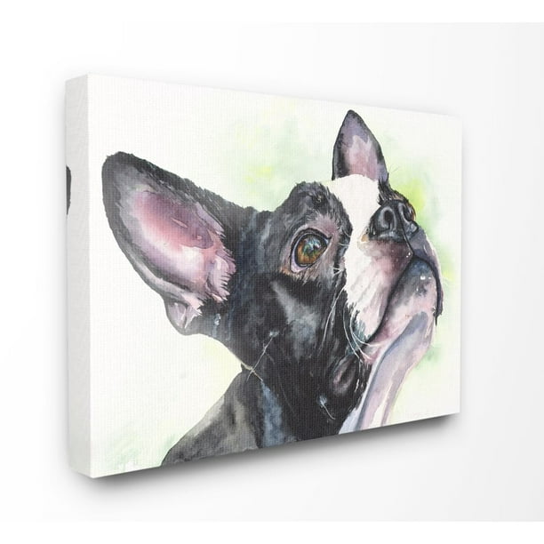 Stupell Industries Boston Terrier Dog Pet Animal Watercolor Painting ...
