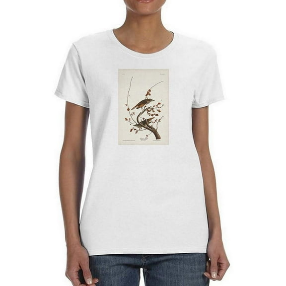 Hermit Thrush T-Shirt Women -John James Audubon Designs, Female XX-Large