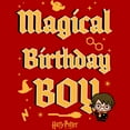 thumbnail image 2 of Men's Harry Potter Magical Birthday Boy Icons  Graphic Tee Red Large, 2 of 5