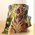 thumbnail image 2 of Bonita manta de tigre, suave y ligera, de franela, ideal para sofá, cama, viajes y uso al aire libre, cálida y esponjosa, acogedora y decorativa para adultos, niños, mujeres y niñas, 50 x 40 pulgadas, 2 of 6