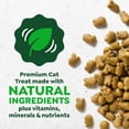 thumbnail image 4 of Greenies Feline Veterinarian-Recommended Dental Cat Treats, Oven Roasted Chicken, 9.75 oz. Tub, 4 of 14