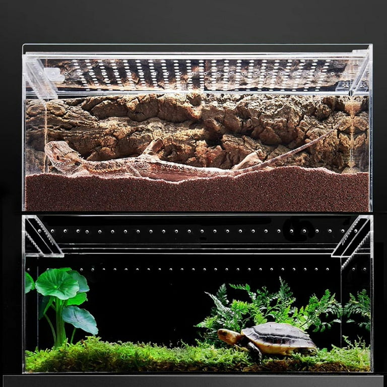 WINDLAND Magnetic Acrylic Case Arboreal Tarantula Enclosure