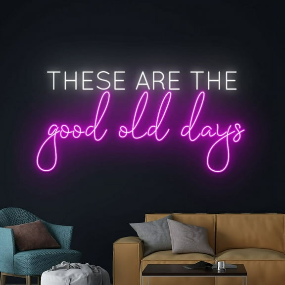 Handmadetneonsign These Are The Good Old Days Neon Sign, Phrase Saying LED Light, Text Led Sign