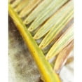 thumbnail image 3 of Robinson, Emily 15x18 Black Modern Framed Museum Art Print Titled - Frond Study II, 3 of 5