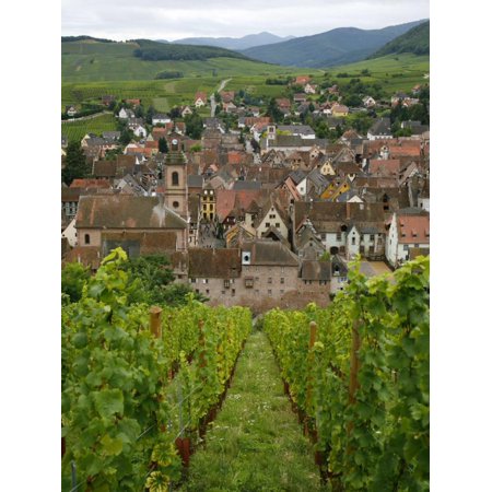 View over the Village of Riquewihr and Vineyards in the Wine Route Area, Alsace, France, Europe Print Wall Art By Yadid (Best Vineyards In France)