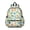 Colorful Dinosaurs Cacti Pattern, variant on Black Cartoon Dinosaurs Text Pattern Cute School Backpack with Padded Back and Adjustable Shoulder Straps 13.4"x11"x4.7"