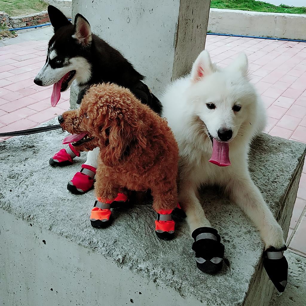 Milaget 4 Pcs Pet Dog Puppy Rain Snow Boots Shoe Anti slip Waterproof For Paw Protection Black L Walmart