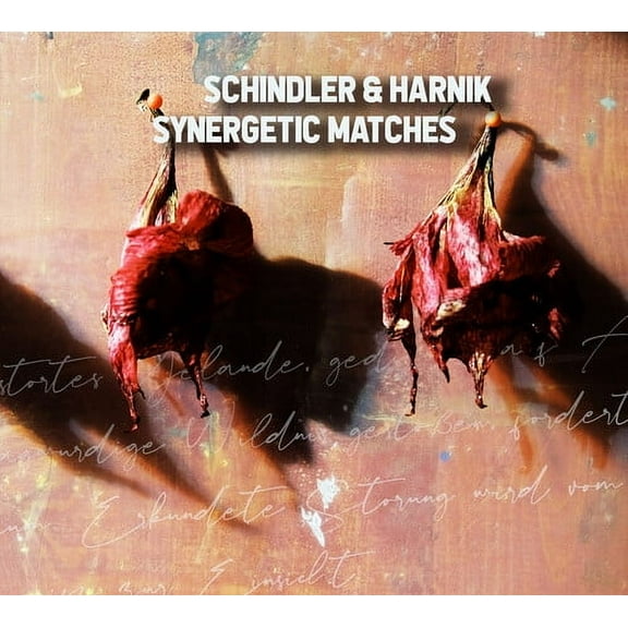 Schindler & Harnik - Synergetic Matches - Music & Performance - CD