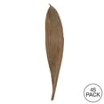 thumbnail image 2 of Vickerman 6-12" Natural Palm Paddles, Includes 32-37 pieces, Dried, 2 of 4