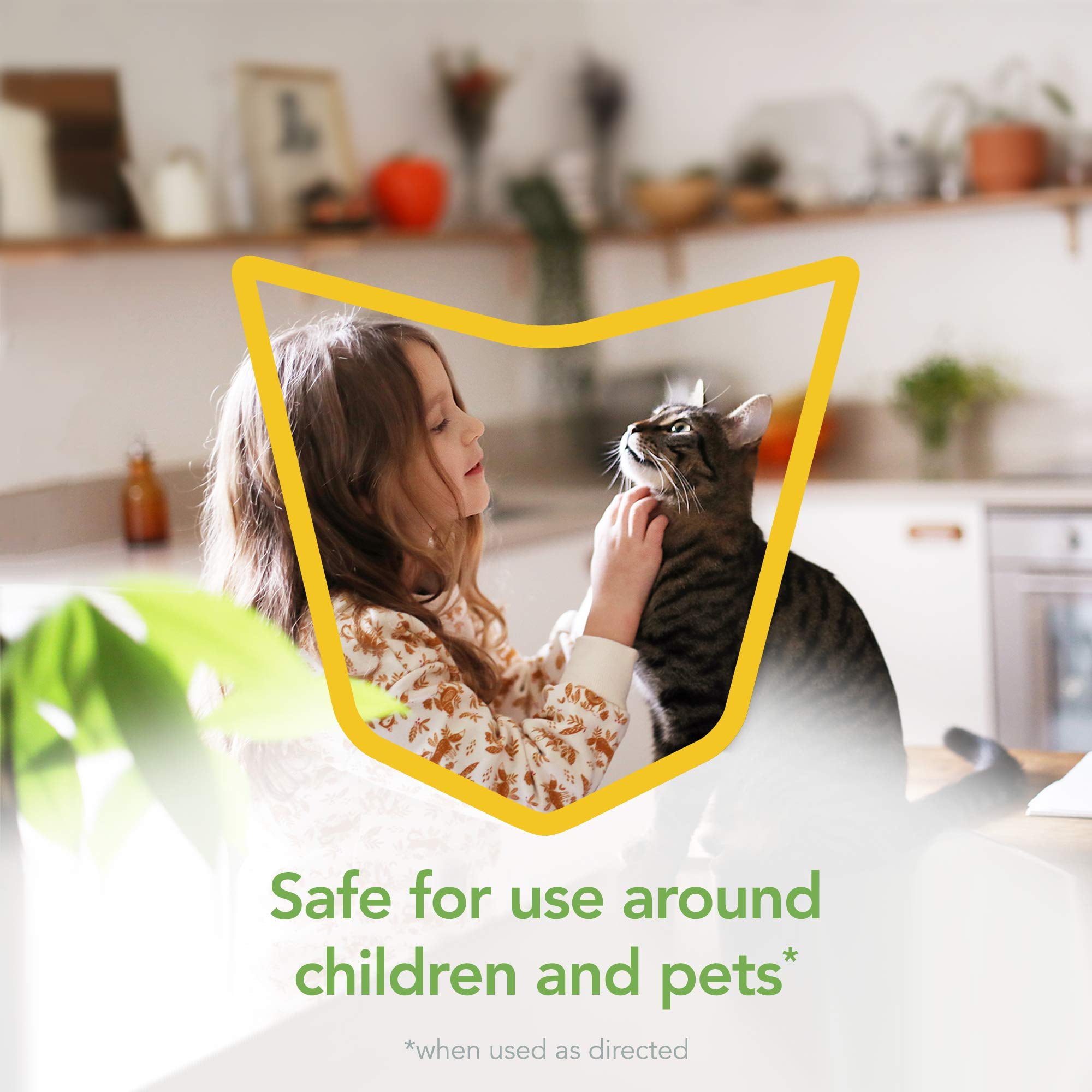 Raid Essentials Multi-Insect Killer Spray Bottle, Child & Pet Safe, for Indoor Use, 12 oz Pack of 3