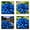 D, variant on Plantable Blue Hostas (Non-Artificial), Rare & Beautiful, Beginner Friendly Fast Growing Variety with Lush Blue Foliage for Outdoor Decor