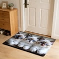 thumbnail image 6 of Cute Cat Floor Mat Non-Slip Absorbent Waterproof Indoor Outdoor Rug for Bedroom Porch Hallway Dorm Home Decoration Pet Lovers Housewarming Gift, 6 of 6