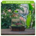thumbnail image 6 of NCYP Small Close Geometric Terrarium with Door, Black Irregular Glass Planter, 6 of 10