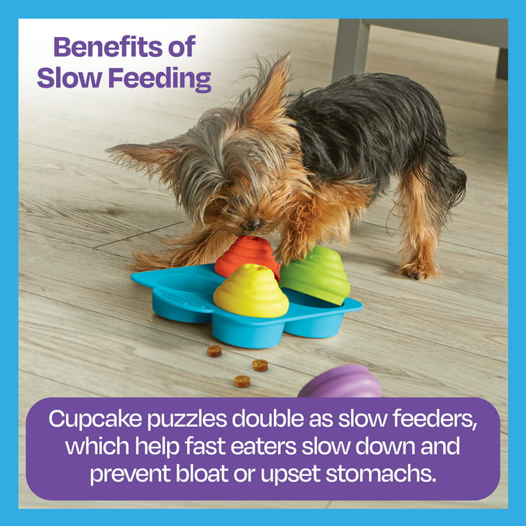 Benefits of Interactive Dog Toys & Puzzle Toys