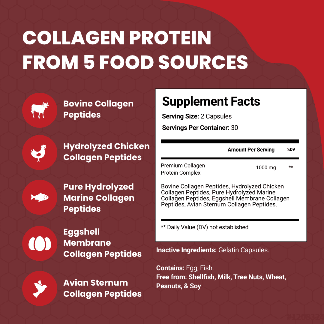Simply Potent Multi Collagen Peptides Capsules, 60 Type I II III V X Hydrolyzed Collagen, Keto & Paleo, Gluten Free, Pack of 2