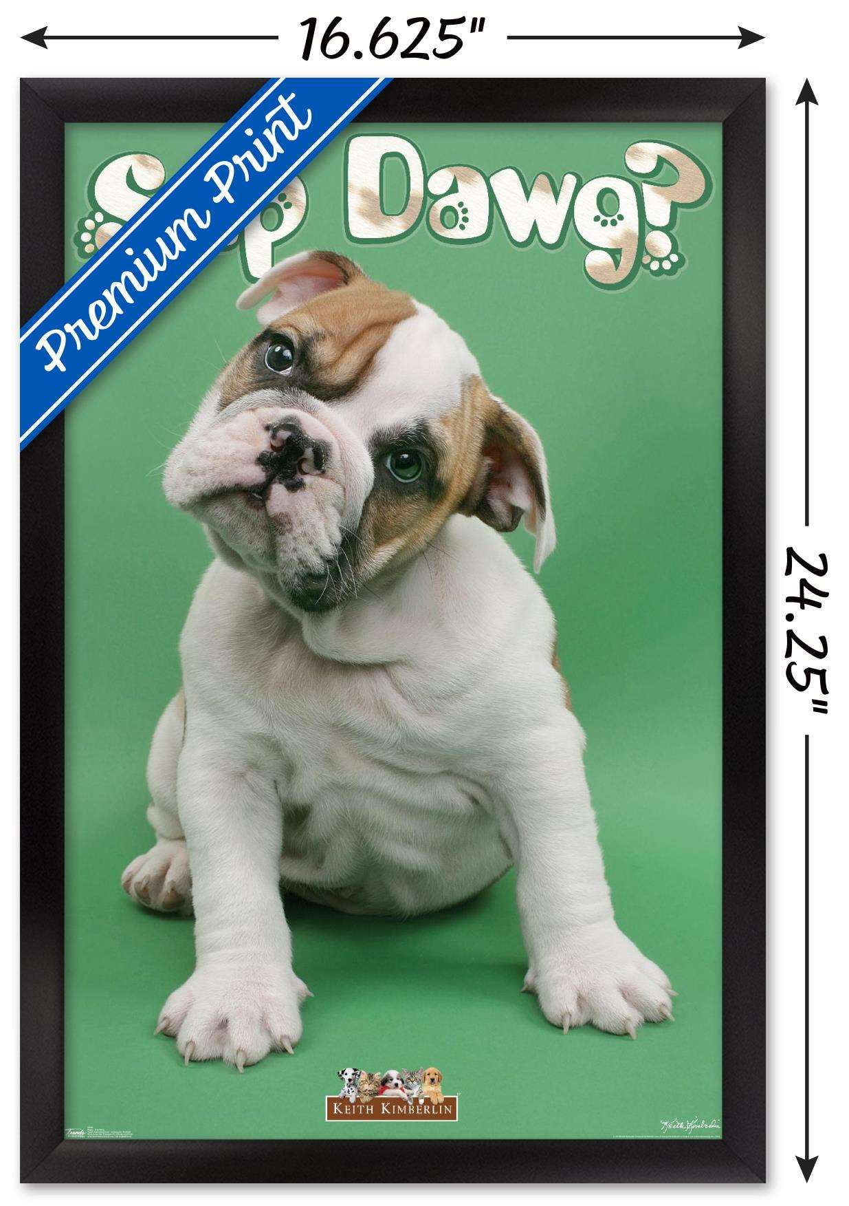 Keith Kimberlin - Sup Dawg Wall Poster, 14.725" x 22.375", Framed