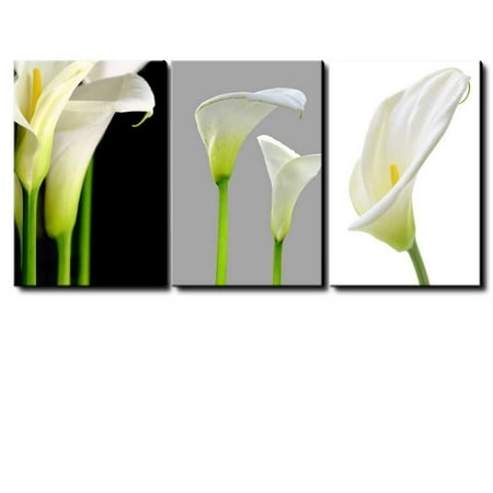 wall26 Canvas Prints Wall Art - 3 Panel Canvas Prints Wall Art - White Calla Lillies Flowers - 16"x24" x 3 Panels