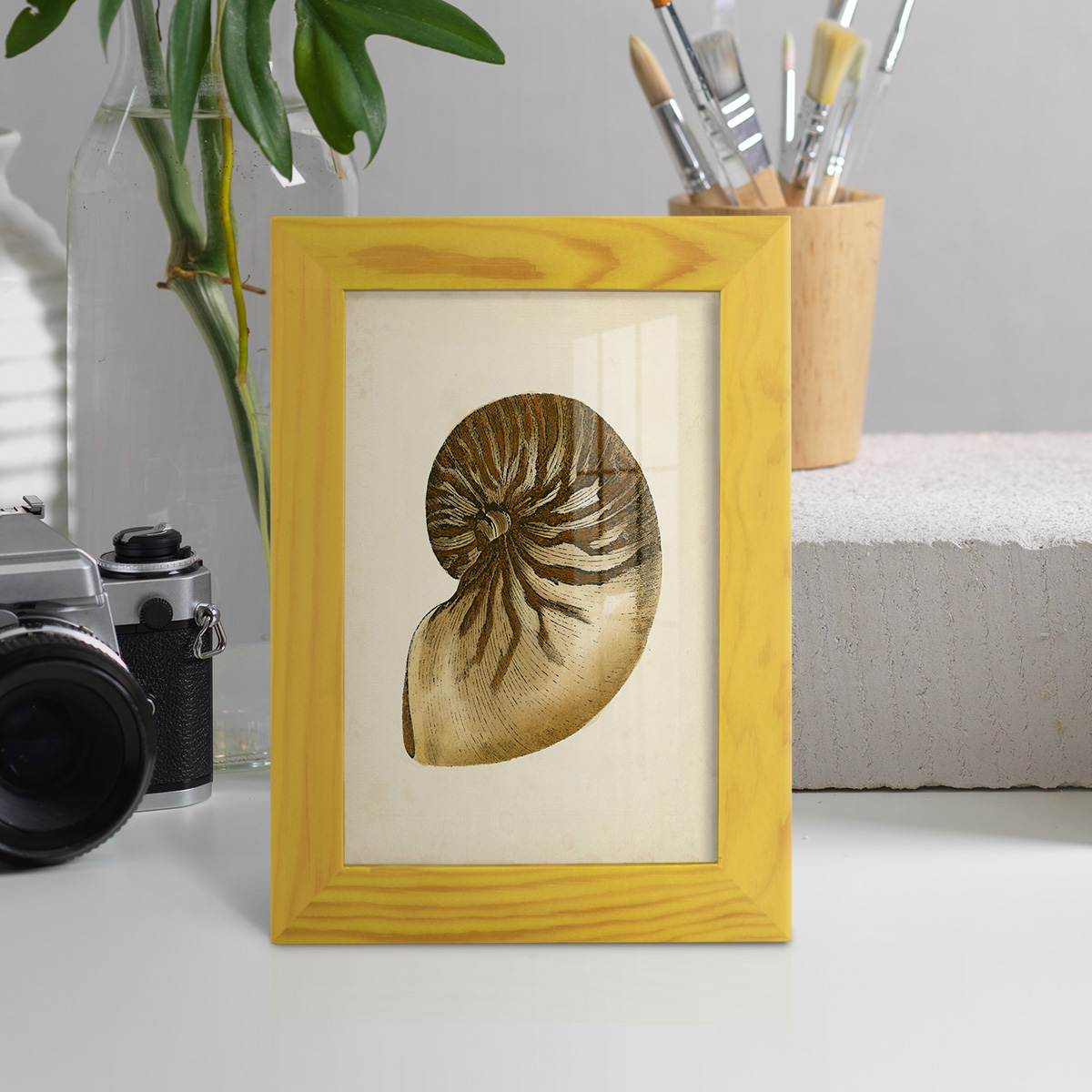 Sealife Collection V - Framed Print w/glass - Sunflower Yellow