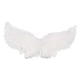 thumbnail image 3 of 2x Alas de Ángel de Halloween Gloria decoración de Perro Pequeño Disfraz cosplay L Blanco Negro, 3 of 9