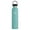 Alpine, variant on HYDRO FLASK Standard Mouth Insulated 24 oz White Water Bottle with Flex Cap