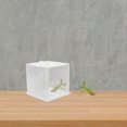 thumbnail image 4 of KAKOWELY Reptile Enclosure Acrylic Breeding Box for Mantis 1Pack, 4 of 8