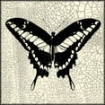 thumbnail image 2 of Vision Studio 26x26 White Modern Wood Framed Museum Art Print Titled - Classical Butterfly IV, 2 of 4